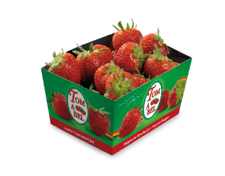 Tomabel emballage fraise