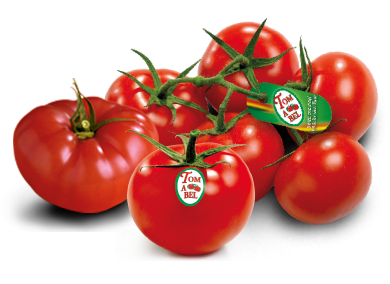 Tomabeloont tomaten
