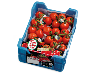 Tomabel kist losse tomaten